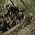 Czech Airsoft Pictures