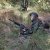 [NL]Airsoft V2 Pictures